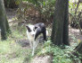 robs009001.jpg