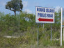 robs015037.jpg